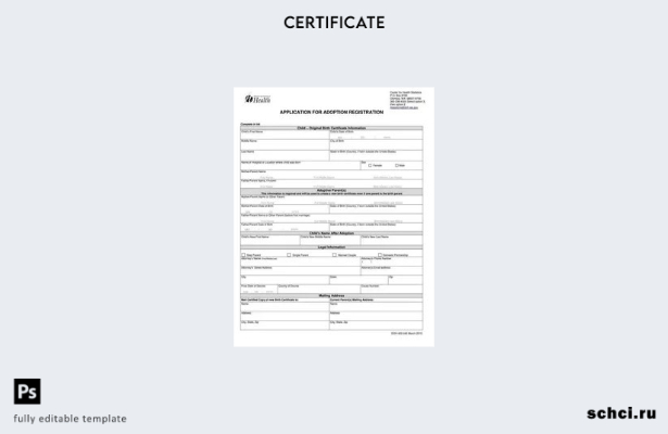 скачать в цифровом формате шаблон сертификата об усыновлении Нью Йоркского реест